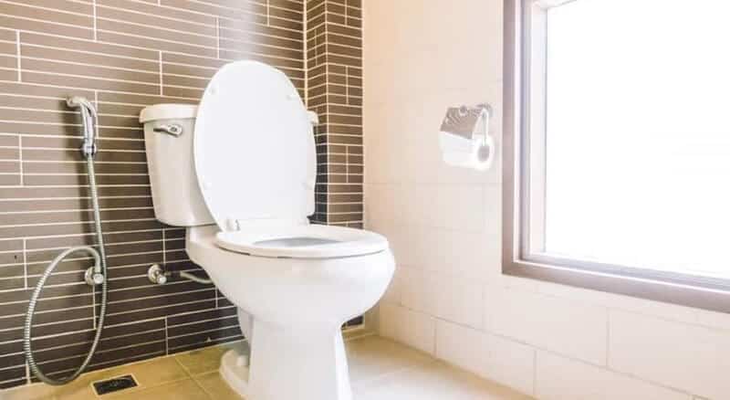 best electric dry composting toilet for basement