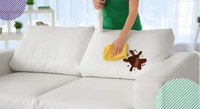 How to Get Chocolate Off Sofa