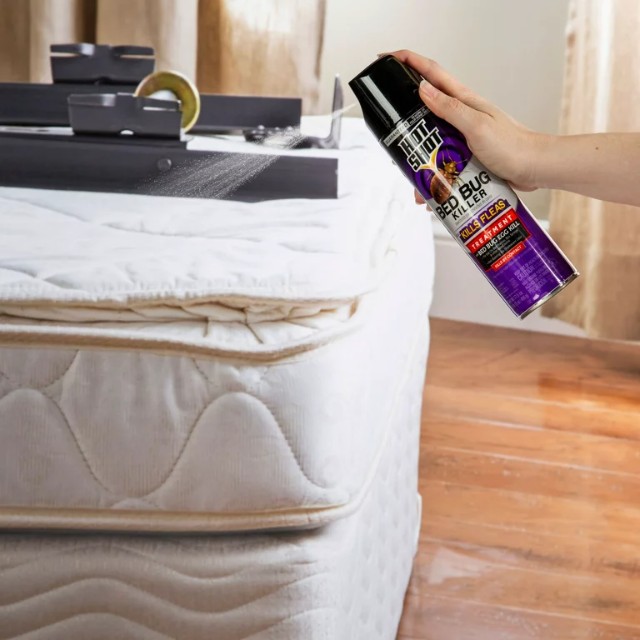 What Can I Spray On Mattress To Kill Fleas