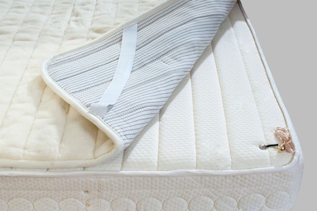 Will A Mattress Protector Stop Bed Bugs At All?
