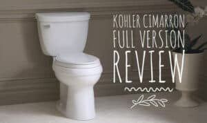 Best Kohler Toilet 2024: Top Brands Review