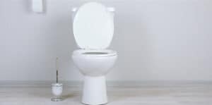 Best No Clog Toilet 2024: Top Brands Review