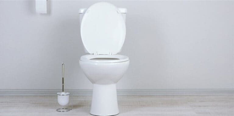 Best No Clog Toilet 2022: Top Brands Review