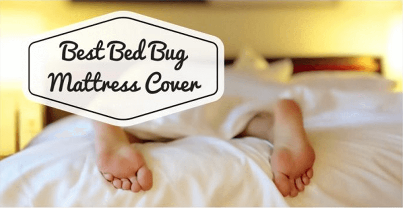 best bed bug mattress cover canada