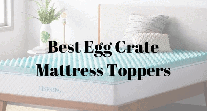 Best Egg Crate Mattress Topper 2022