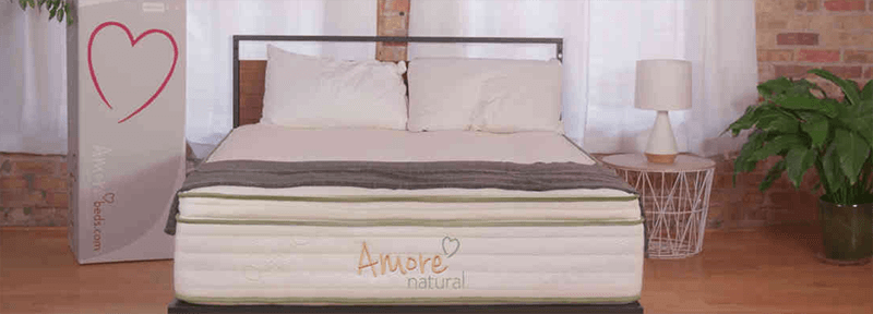 Top Rated Best Mattress For Osteoporosis Sufferers Brands