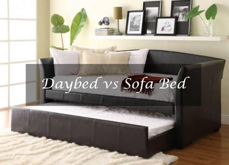 Daybed vs Sofa Bed