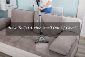 How To Get Urine Smell Out Of Couch? In-Depth Guide 2024