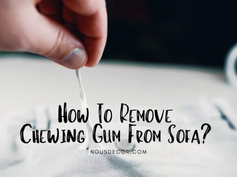 How To Remove Chewing Gum From Sofa? A Complete Guide (2023)