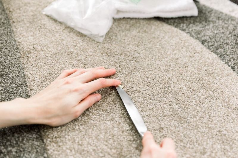 How to get chewing gum out of the carpet (1)