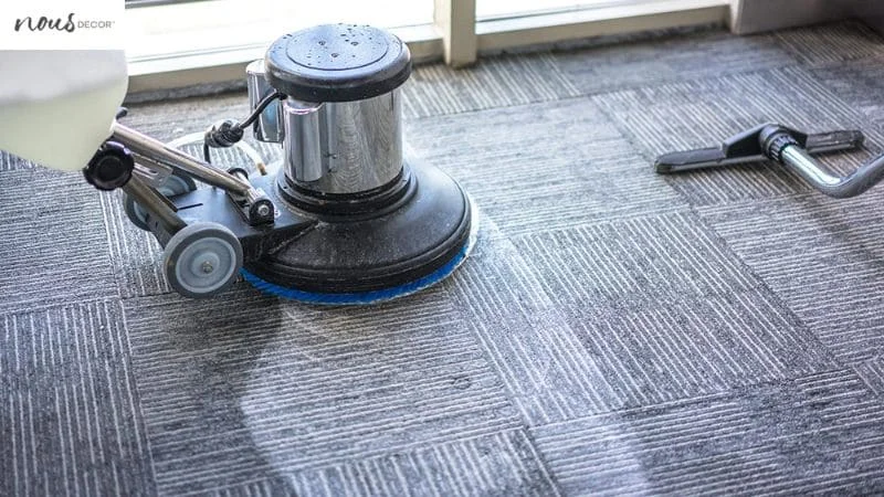 How often to clean your carpet