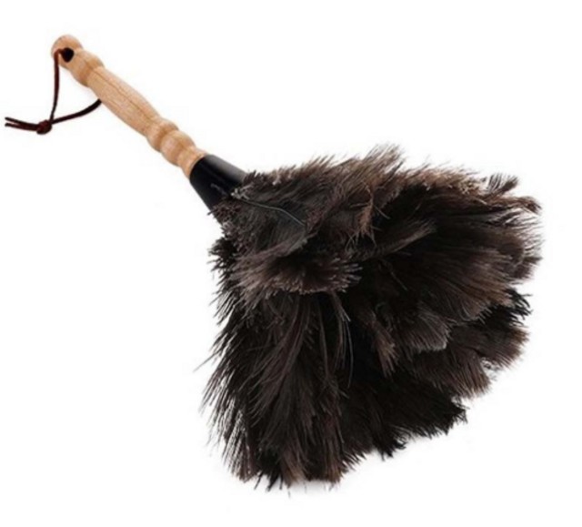 A feather duster