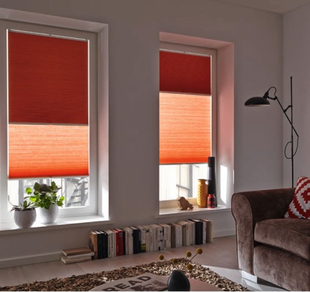 Natural sunlight with pleated shades' unique design
