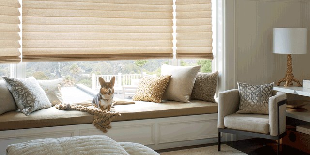 Pleated shades with pet