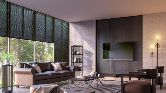 Modern Window Treatments Ideas for Living Room