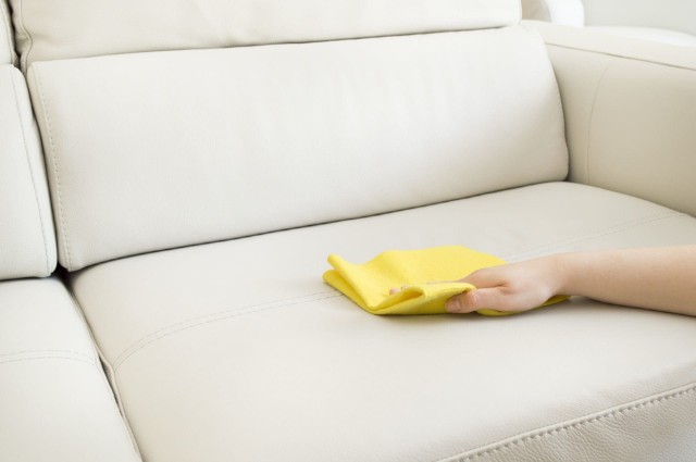 Rinse all the Cat Pee on Your Couch
