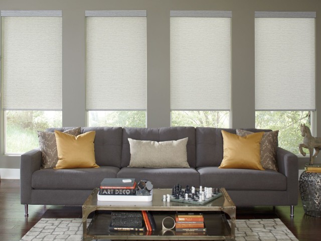 Roller shades provide excellent light control options