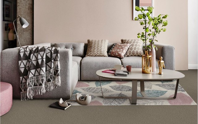 What Colour Carpet Goes With Grey Sofa