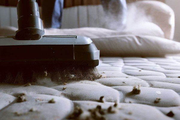 How To Clean Mold Off Mattress At Home