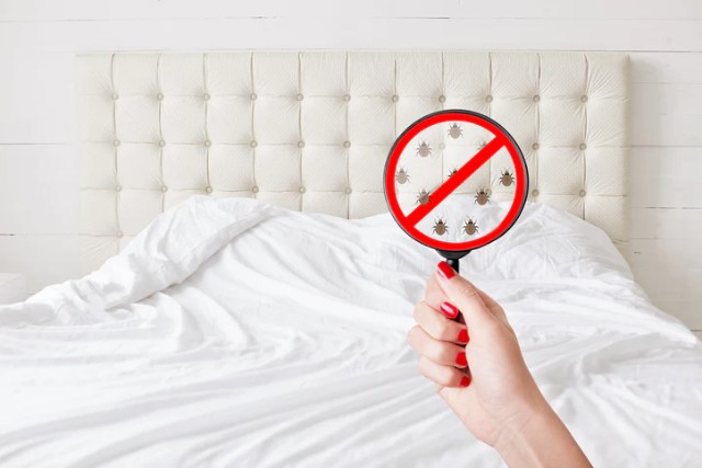 Can Bed Bugs Get Through A Mattress Cover?