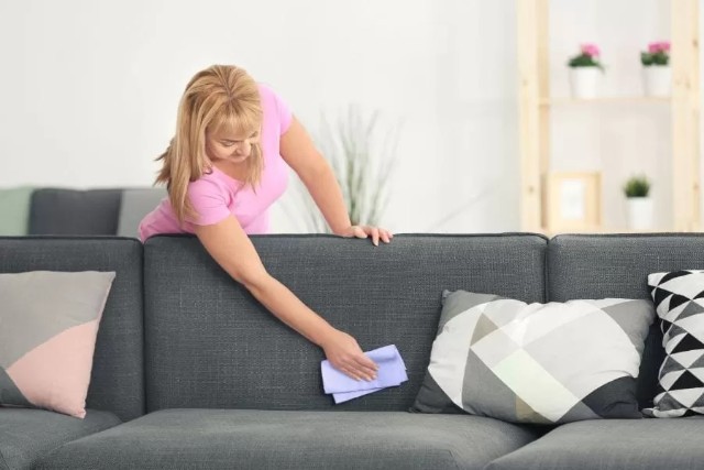 Clean Sofa With Laundry Detergent