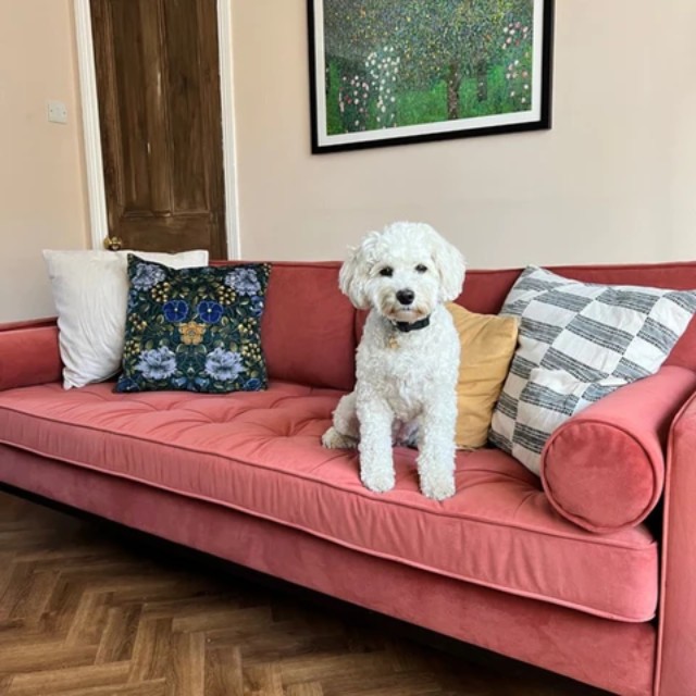 Are velvet sofas suitable for pet owners