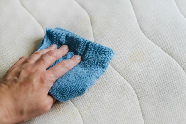 Gently blot the affected area with a damp cloth