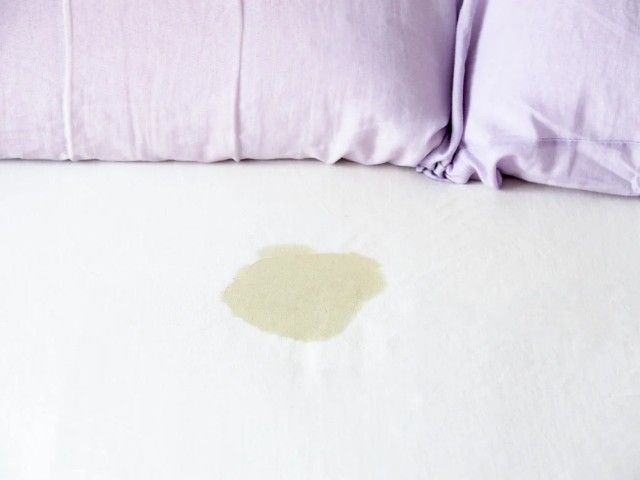 How To Clean Mattress Urine From Any Sources