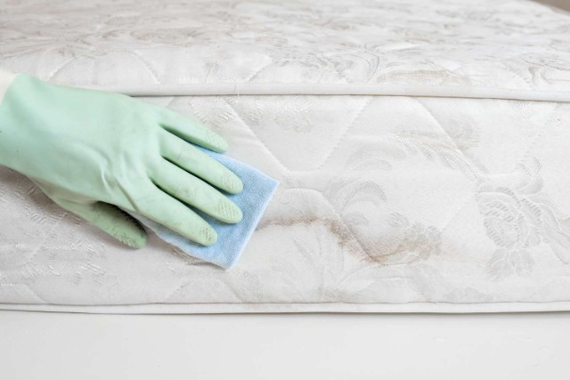 How To Clean Mold Off Mattress At Home