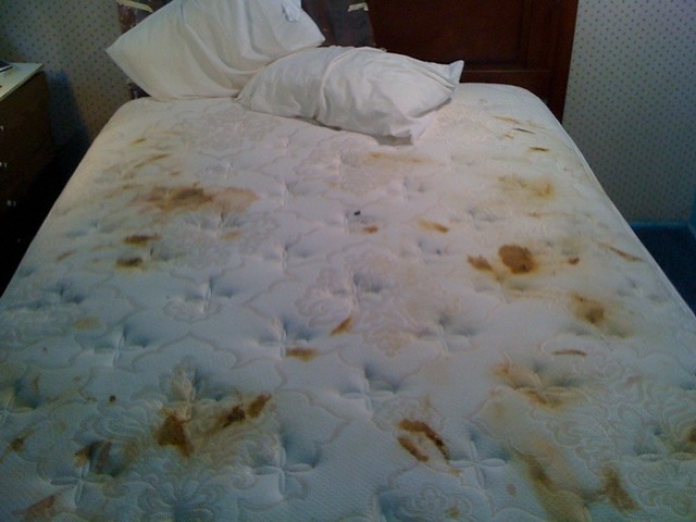 Poop from mattress