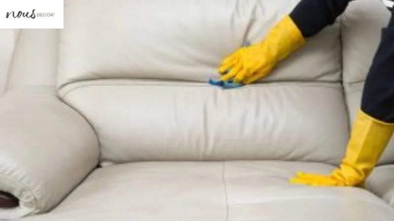 How To Clean White Leather Sofa 
