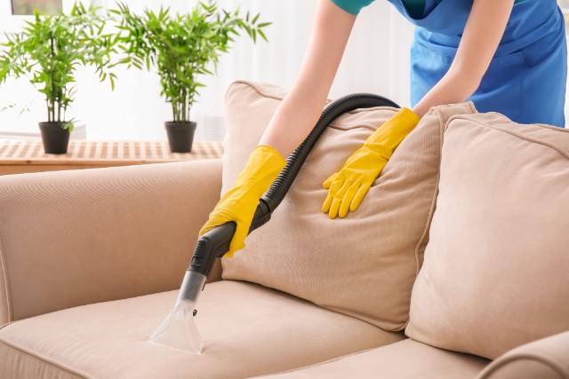 Clean Your Couch Afterwards