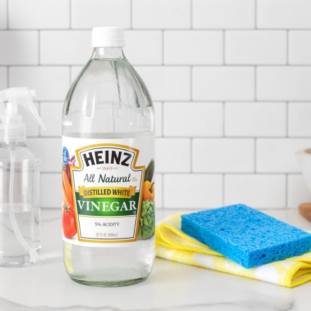 An Aqueous Solution of Vinegar
