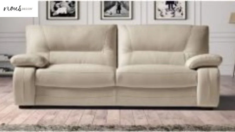Semi Aniline Sofa