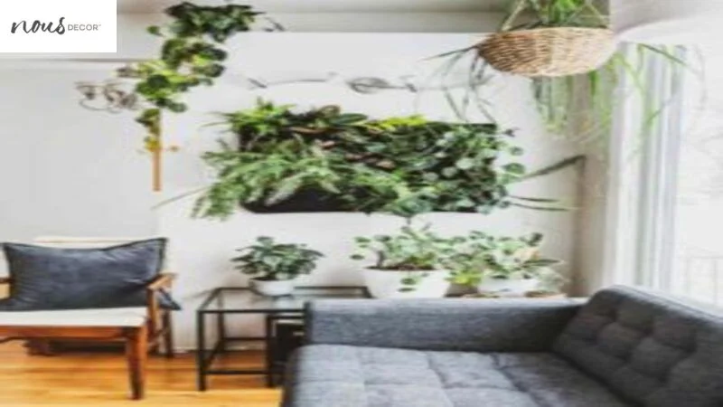 Caring for Plants in Wall Decor 