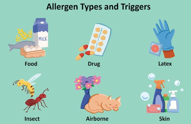 Triggering Allergies
