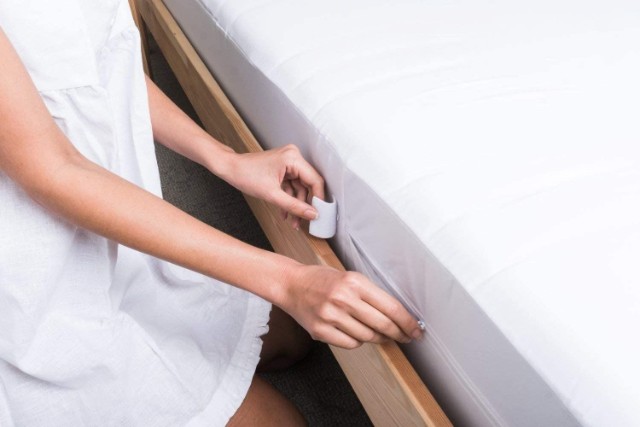 Effectiveness of Mattress Protectors against Bed Bugs
