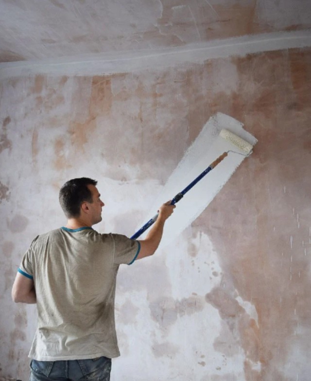 Can You Paint Old Plaster Walls